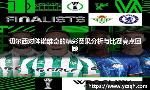 切尔西对阵诺维奇的精彩赛果分析与比赛亮点回顾